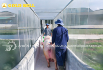 Using Insect Netting – A Combined Solution to Prevent African Swine Fever