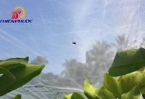 The Role of Insect Netting in Agriculture