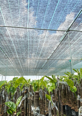 Bạn cần chúng tôi tư vấn ?