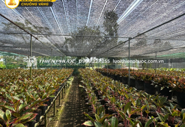 The role of shade nets in optimizing agricultural and livestock productivity
