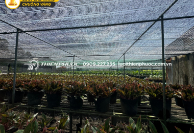 Does shade net help reduce heat?