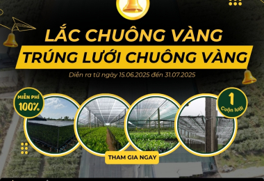 LẮC CHUÔNG VÀNG – TRÚNG LƯỚI CHUÔNG VÀNG