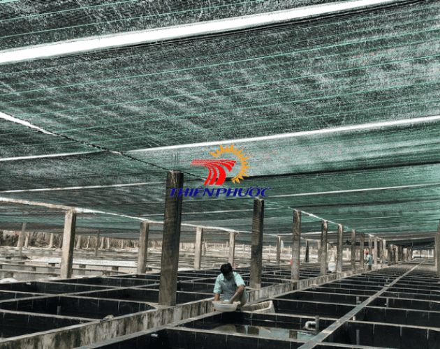 Lưới lan che nắng