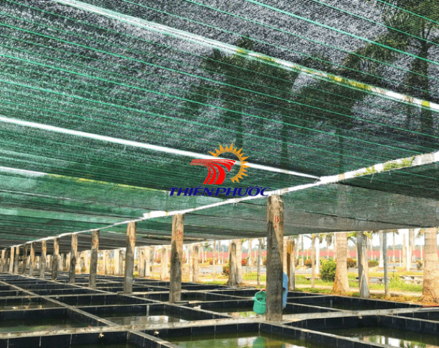 Lưới lan che nắng ao tôm cá