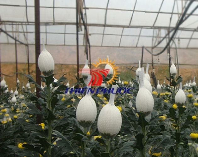 Lưới bao hoa