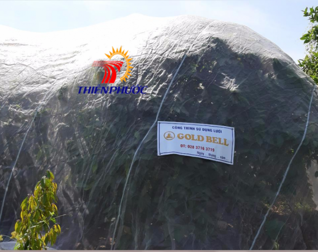 Lưới mùng trồng mận