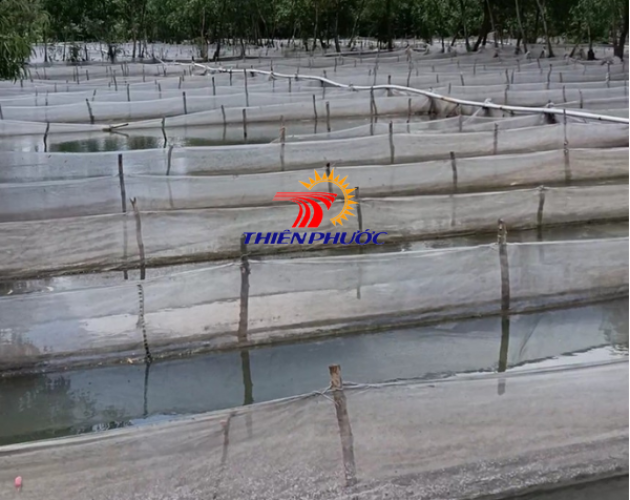 Lưới mùng nuôi tôm