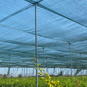 Lưới Che Nắng Vườn Lan