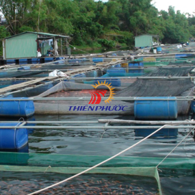 Lưới Nuôi Cá & Nuôi Trồng Thuỷ Sản