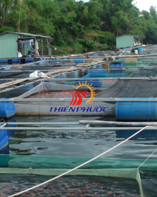 Lưới Nuôi Cá & Nuôi Trồng Thuỷ Sản